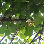 'eugenia' Mit Wasserblick By Interhome Apartamento *
