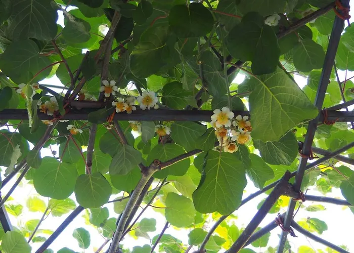 'eugenia' Mit Wasserblick By Interhome Apartment *